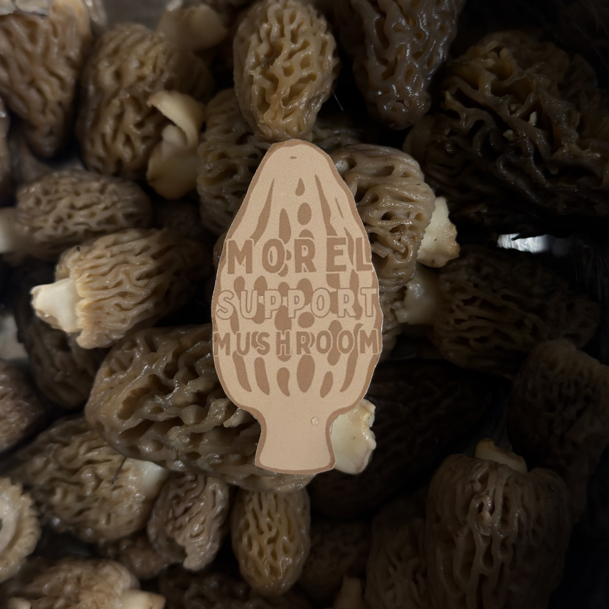 Morel support sticker